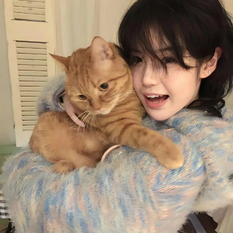 重生95逆袭从十车辣椒开始