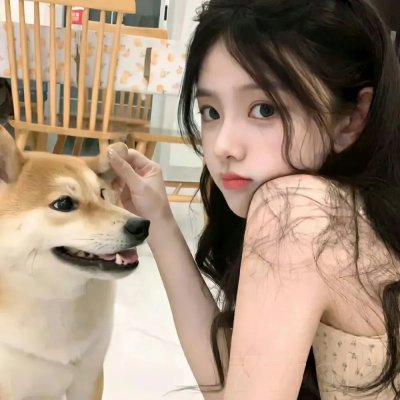 巡逻现场实录2017